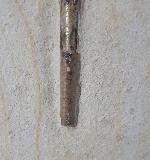 Hibolithes semisulcatus (M�NSTER 1830) - Bild &copy; FossNet FossilienStore